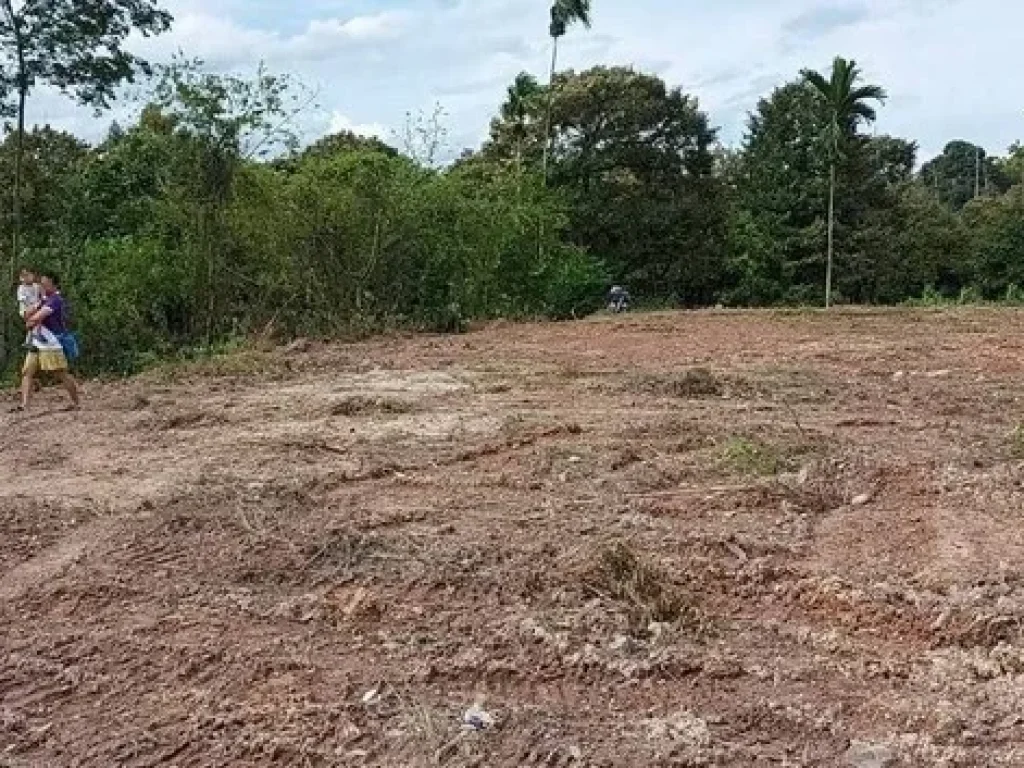 ขายที่ดินสวย ราคาถูก ด้านหน้าติดถนนสุขุมวิท ทล3 ด้านหลังติด ลำธาร ตสองสลึง อแกลง จระยอง