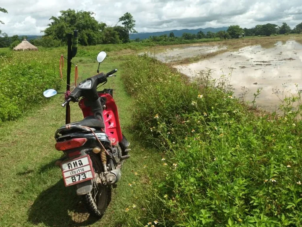 ขายที่ดิน ตำบลสันมะเค็ด อำเภอพาน จังหวัดเชียงราย 