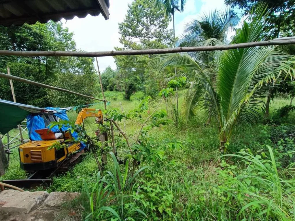 ขายที่ดินติดถนนใหญ่ บรรยากาศดี อำเภอขลุง จจันทบุรี