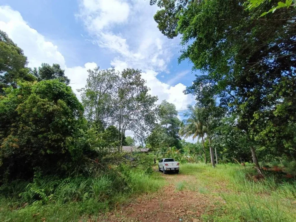 ขายที่ดินติดถนนใหญ่ บรรยากาศดี อำเภอขลุง จจันทบุรี