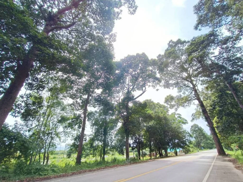 ขายที่ดินติดถนนใหญ่ บรรยากาศดี อำเภอขลุง จจันทบุรี