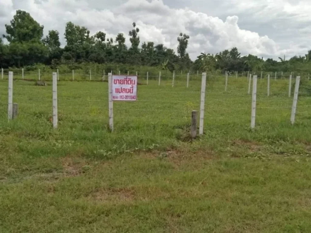 ขายที่ดิน 129 ตรวพร้อมแบบบ้านพักอาศัย ทำเลดี พิกัดบ้านใหม่สันมะนะ ตำบลต้นธง