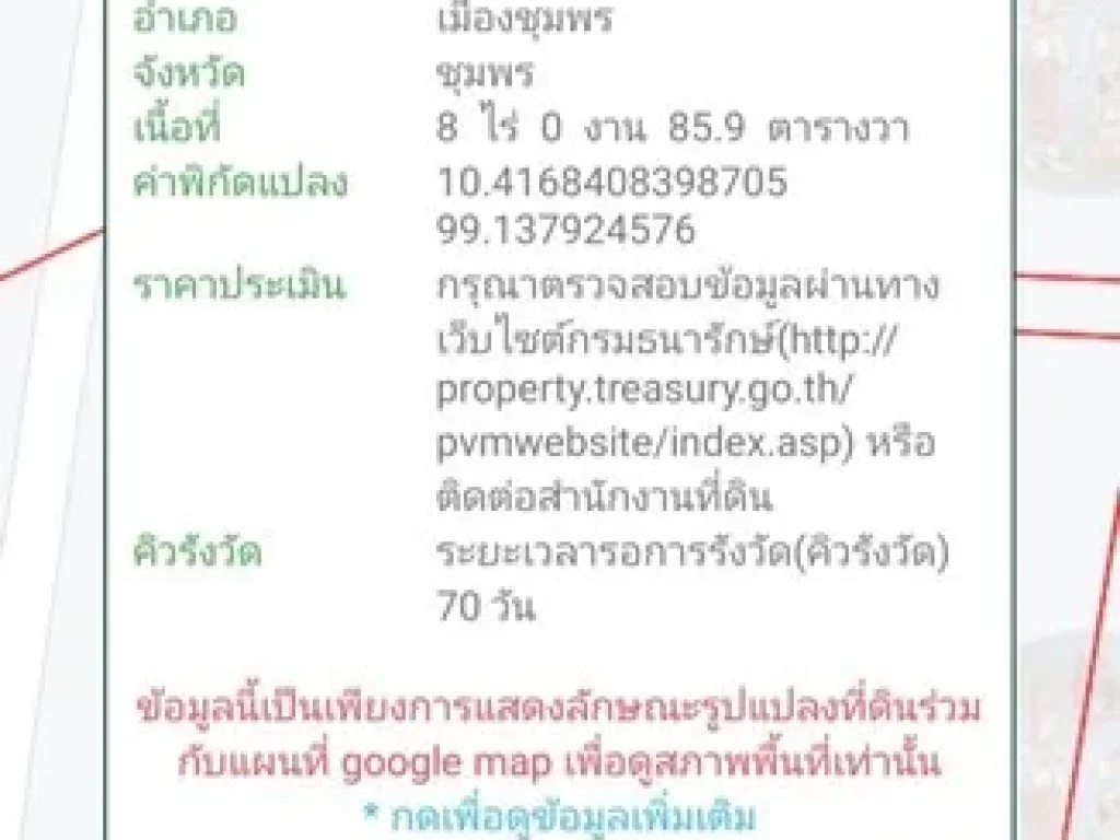 ขายด่วน ที่ดินสวนปาล์มพร้อม บ้าน 1 หลัง เนื้อที่ 8 ไร่ 859 ตารางวา อำเภอเมืองชุมพร