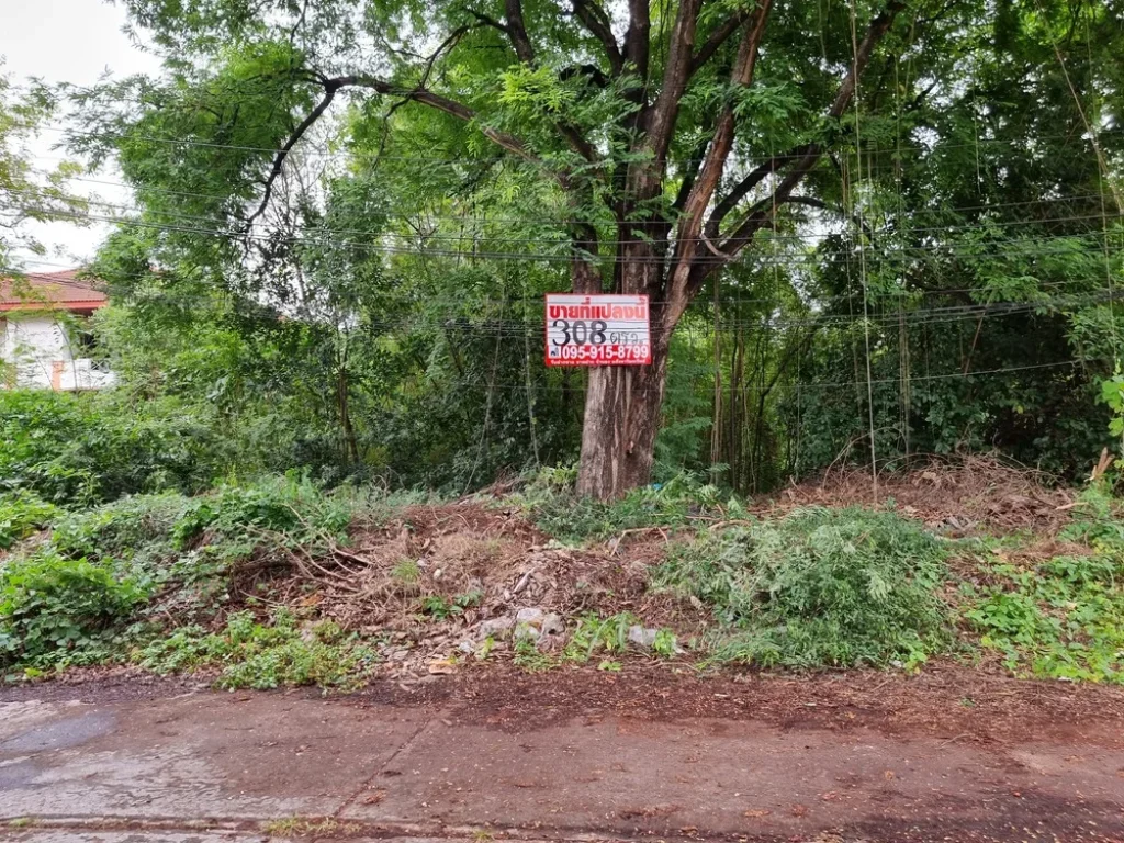 ขายที่ดิน 308 ตรว ซอยเพชรเกษม 64 หมู่บ้านเรืองอนันต์ ซอย 9 รูปแปลงสวย ทำเลดี ใกล้ MRT บางแค เหมาะสร้างบ้านอยู่อาศัย