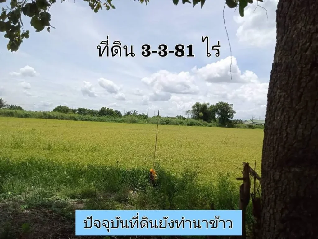 ขายด่วน ที่ดินติดคลอง 3-3-81 ไร่ หน้าติดถนนคอนกรีตสาธารณะ หลังติดคลองรางไทร ตบางภาษี อบางเลน