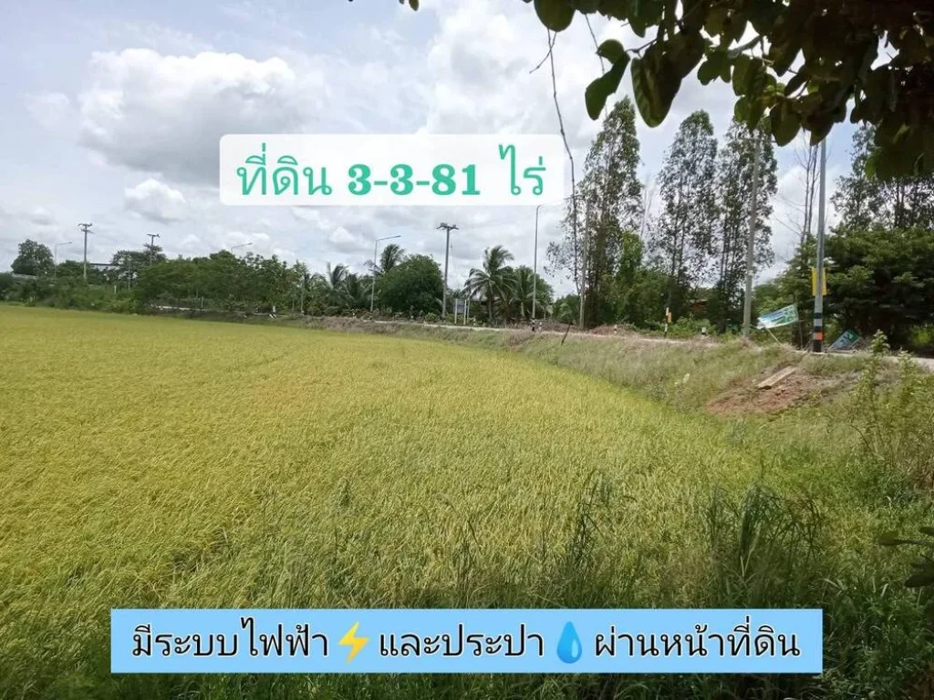 ขายด่วน ที่ดินติดคลอง 3-3-81 ไร่ หน้าติดถนนคอนกรีตสาธารณะ หลังติดคลองรางไทร ตบางภาษี อบางเลน