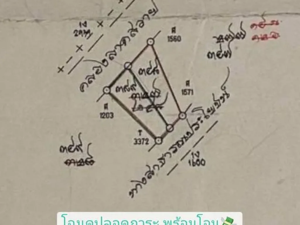 ขายด่วน ที่ดินติดคลอง 3-3-81 ไร่ หน้าติดถนนคอนกรีตสาธารณะ หลังติดคลองรางไทร ตบางภาษี อบางเลน