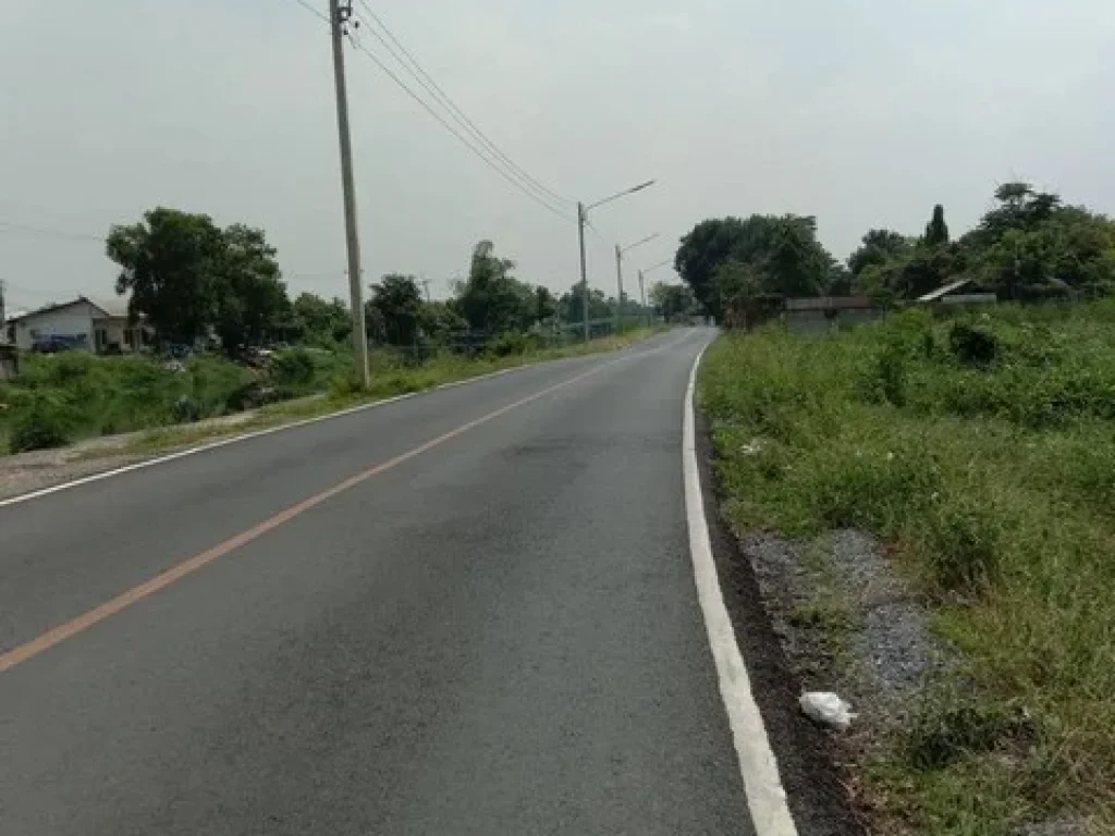 ขาย ที่ดินติดถนนเลียบคลอง 3 ฝั่งตะวันตก ตลำสามแก้ว อลำลูกกา ปทุมธานี