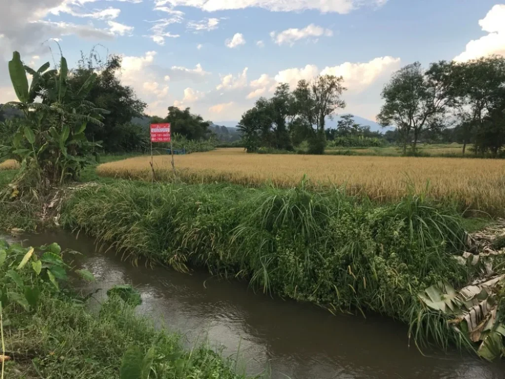 ที่ดินแม่แตง เชียงใหม่ ติดน้ำ ภูเขา มีน้ำล้อม มีโฉนด