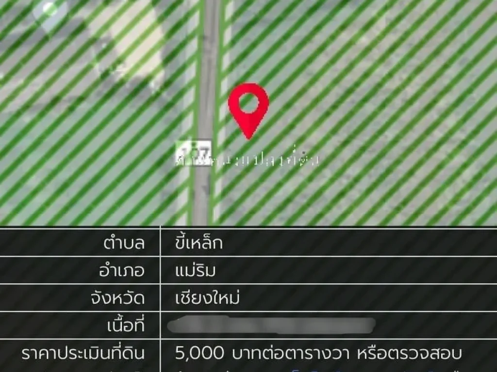 ขายที่ดินติดถนน 14-0-56 ไร่ หน้ามหาลัยราชภัฏแม่ริม เชียงใหม่