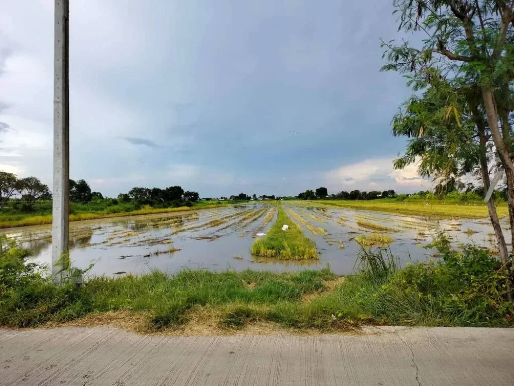 ขายที่ดิน แปลงสวย ทำเลทอง ใกล้ด่านมอเตอร์เวย์ลาดกระบัง เดินทางง่าย