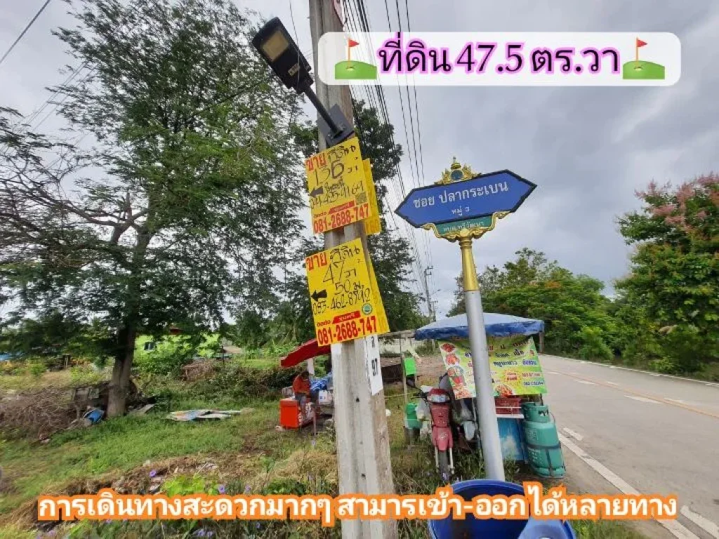 ขายด่วน ที่ดินสร้างบ้านสวน 475 ตาราง ซอย ปลากระเบน ตขุนศรี อไทรน้อย