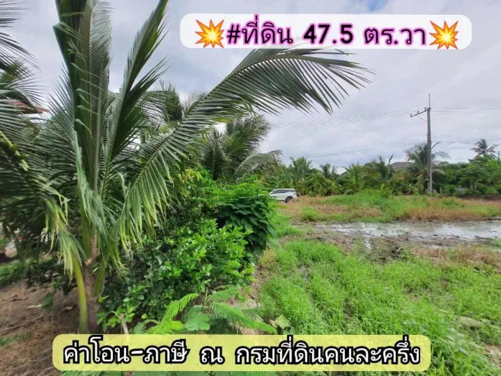 ขายด่วน ที่ดินสร้างบ้านสวน 475 ตาราง ซอย ปลากระเบน ตขุนศรี อไทรน้อย