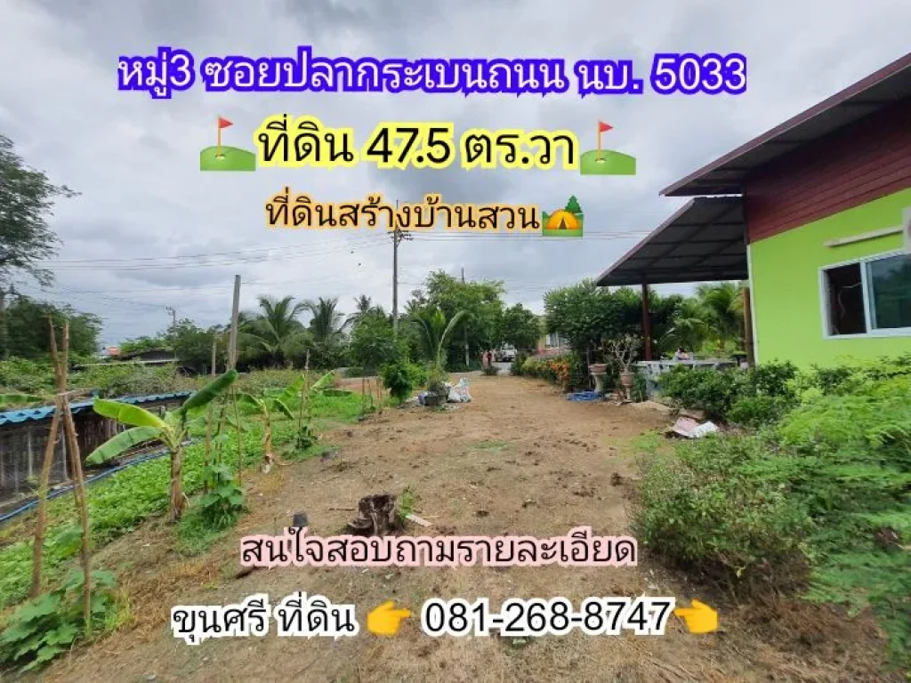 ขายด่วน ที่ดินสร้างบ้านสวน 475 ตาราง ซอย ปลากระเบน ตขุนศรี อไทรน้อย