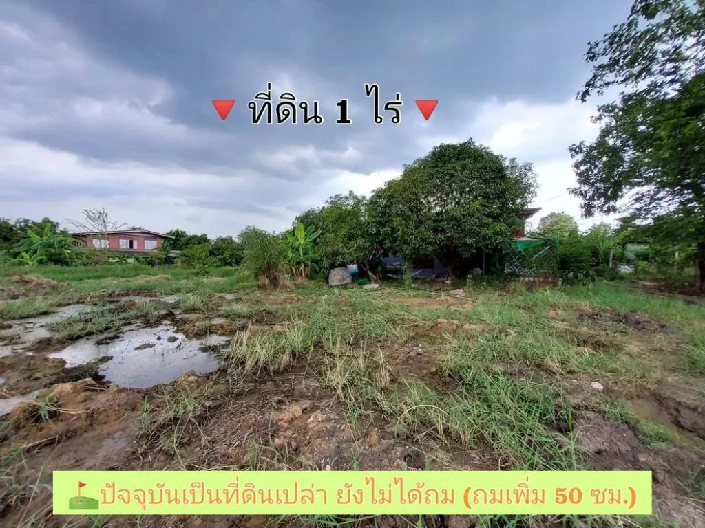 ขายด่วน ที่ดินเลียบคลองลำรี 1 ไร่ ติดถนนคอนกรีตสาธารณะวิวคลองลำรี อบางบัวทอง