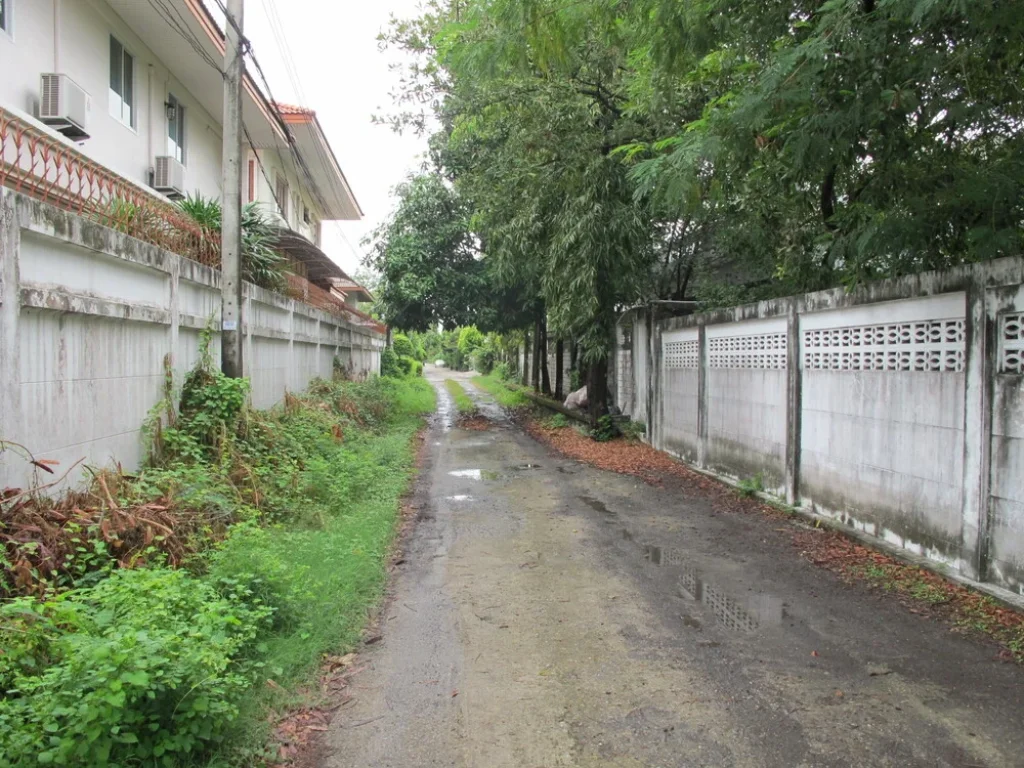 ขายที่ดิน พร้อมสิ่งปลูกสร้าง วิภาวดี ขนาด 200 ตรว ใกล้มเกษตร