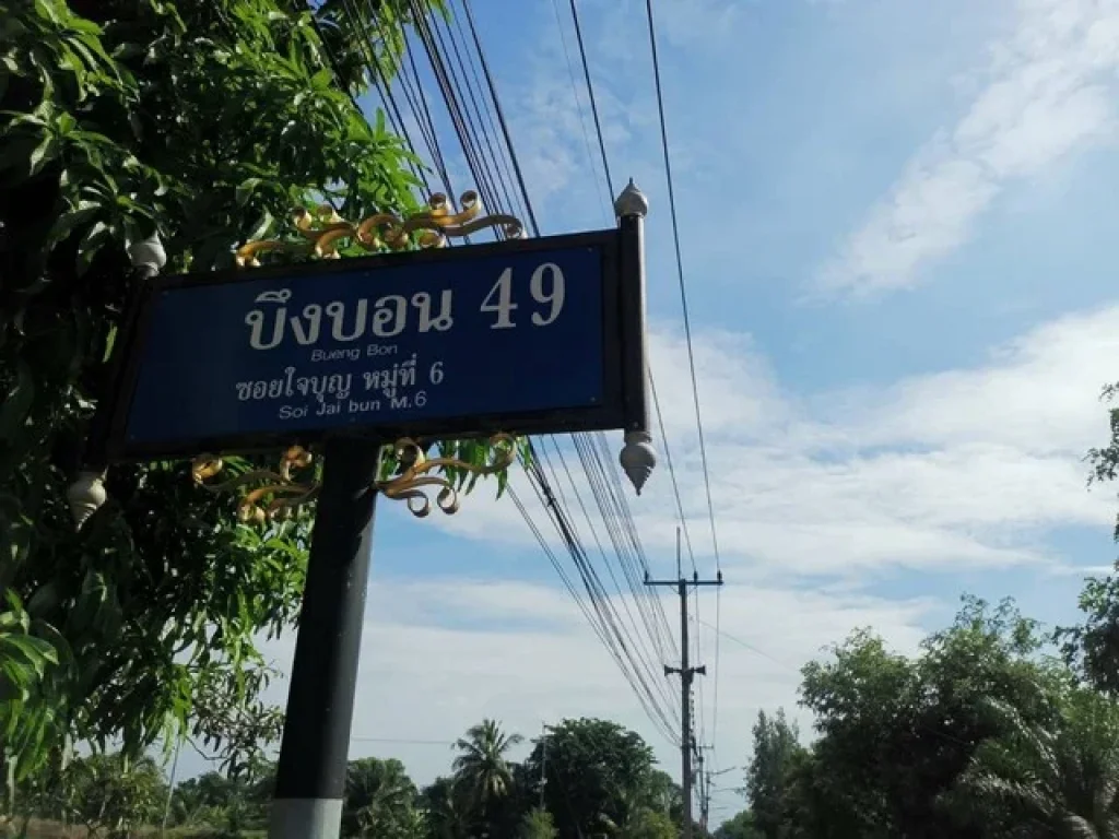 ขายที่ดินคลอง 8 รังสิต - ธัญบุรี ซอยบึงบอน 49 ฝั่งตะวันออก