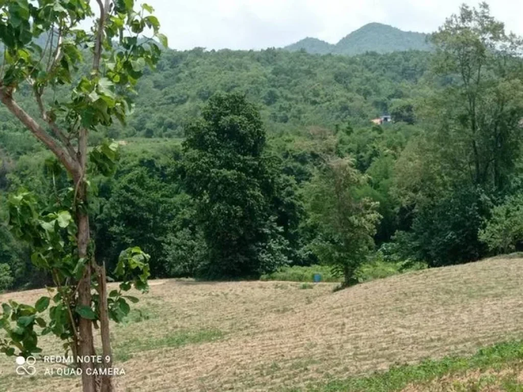 ขายที่ดินติดแม่น้ำ 115 ไร่ เหมาะสำหรับทำรีสอร์ทหรือบ้านพักตากอากาศ อำเภอไทรโยค กาญจนบุรี