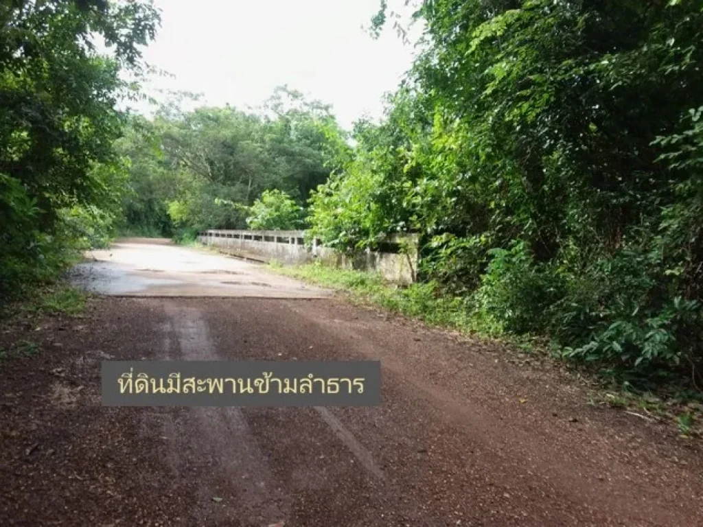 ที่ดินสวยติดลำโดมน้ำ ใกล้แหล่งท่องเที่ยวธรรมชาติ อเดชอุดม จ อุบลราชธานี ใกล้ปทลาว