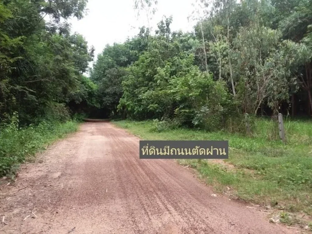 ที่ดินสวยติดลำโดมน้ำ ใกล้แหล่งท่องเที่ยวธรรมชาติ อเดชอุดม จ อุบลราชธานี ใกล้ปทลาว