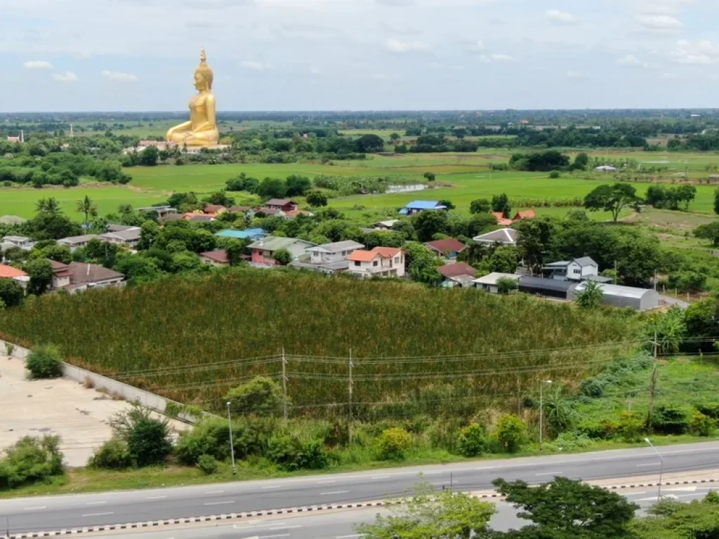 ขายที่ดิน ริมถนนทางหลวงแผ่นดินหมายเลข 3195 สายสุพรรณบุรี ใกล้วัดม่วง