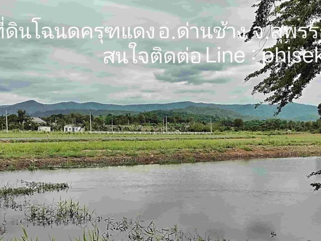 ที่ดินโฉนดวิวเขาสุดสวย360องศา เริ่มต้นไร่ละ 350000 แบ่งแปลง 2-5 ไร่ ด่านช้าง สุพรรณบุรี น้ำไฟพร้อม