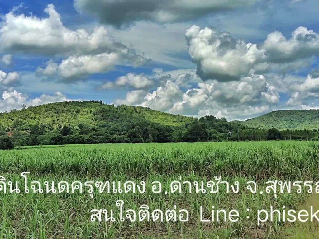 ที่ดินโฉนดวิวเขาสุดสวย360องศา เริ่มต้นไร่ละ 350000 แบ่งแปลง 2-5 ไร่ ด่านช้าง สุพรรณบุรี น้ำไฟพร้อม