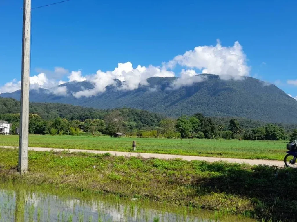 ขายที่นาเชียงดาววิวสวย100 วิวดอยหลวง ดองนาง ชัดมากเลยคะ ที่ดินมี 9ไร่ 2งาน 21วา