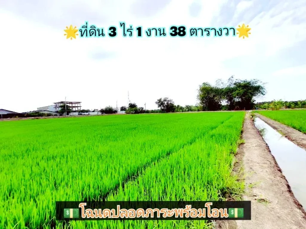 ขายด่วน ที่ดิน 3-1-38 ไร่ ปัจจุบันยังทำนาข้าว ติดถนนคอนกรีตสาธารณะ อไทรน้อย