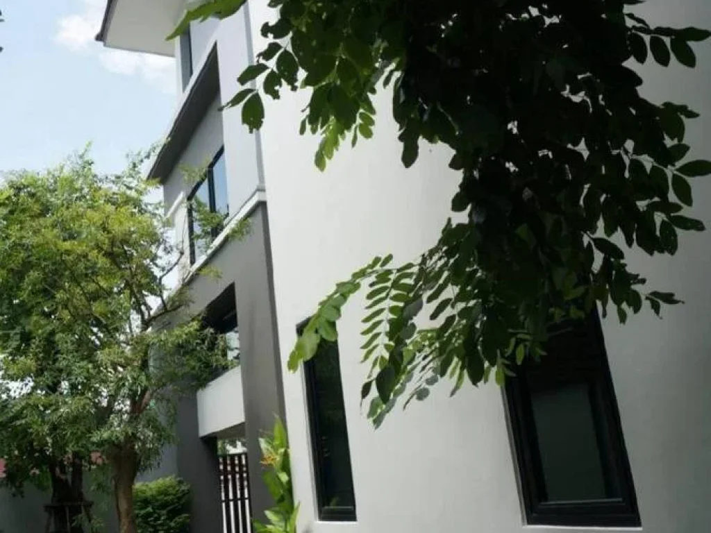 Single House Home office Rama 9 sale ขายบ้านเดี่ยวพระราม 9 รัชดาภิเษก พร้อมอาคารสำนักงานออฟฟิศ 97ตรว ใกล้ MRTพระราม9 ใกล้ เซ็นทรัลพระราม9 ขายด่วน