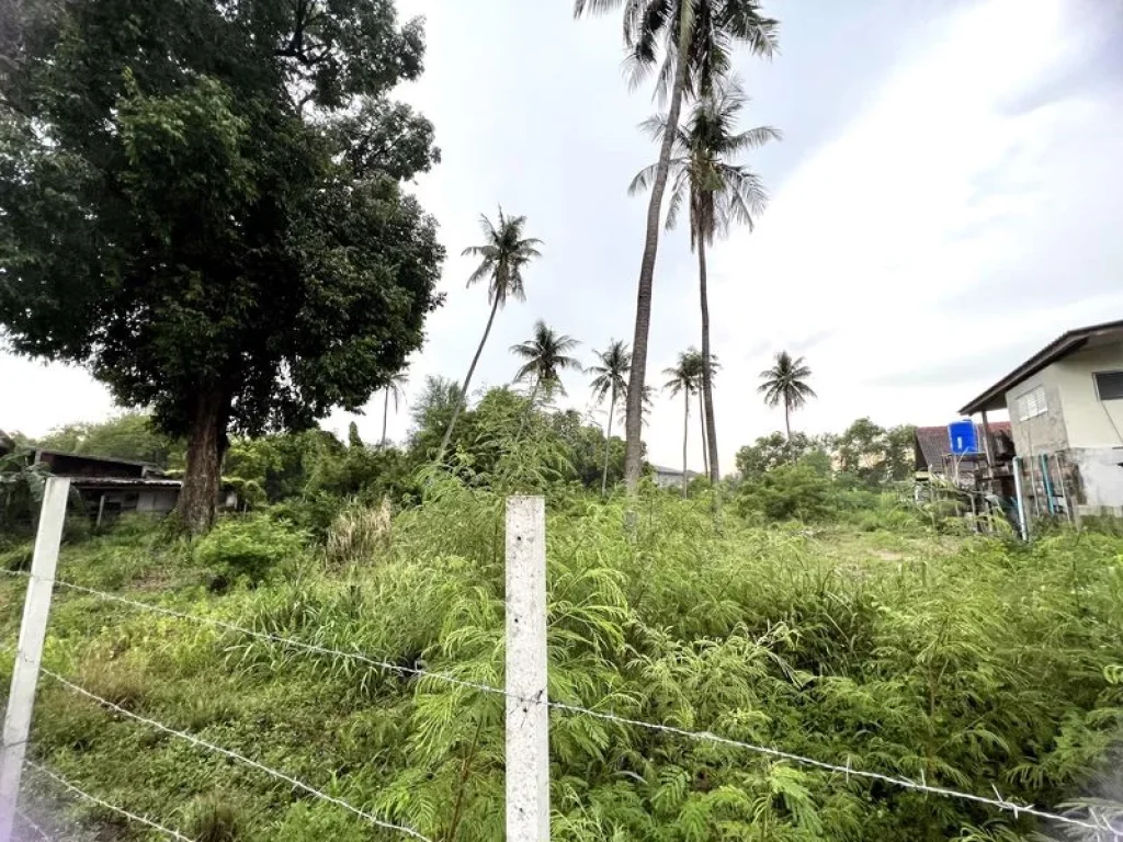 ลดราคาแรง ขายที่ดินสวย ใกล้หาดบางแสน ถมแล้วเรียบร้อย ล้อมรั้วเป็นสัดส่วน