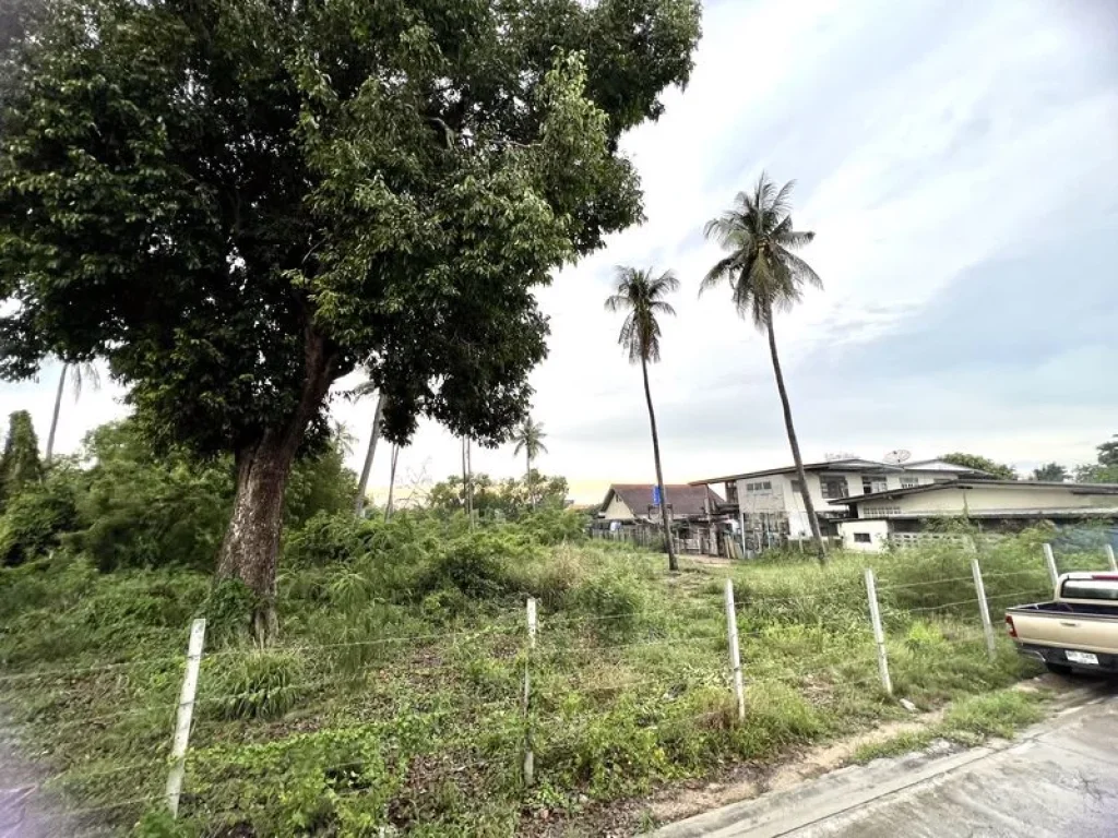 ลดราคาแรง ขายที่ดินสวย ใกล้หาดบางแสน ถมแล้วเรียบร้อย ล้อมรั้วเป็นสัดส่วน