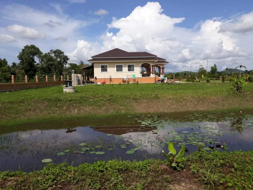 ขายถูกมาก บ้านเดี่ยวพร้อมที่ดิน วิวภูเขาและทุ่งนาสวยมาก ทำเลดี อเมืองเชียงราย เฟอร์ครบพร้อมอยู่ ใกล้ตลาด บิ๊กซีฯ