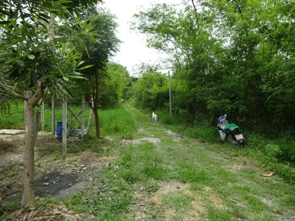 ขายที่ดิน 3 งาน 28 ตรว ตำบลยุหว่า อำเภอสันป่าตอง จเชียงใหม่