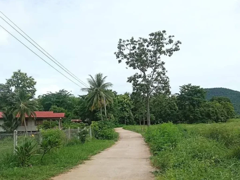 ที่ดินแปลงสวย ที่ราบริมเชิงเขา บรรยากาศดี ราคาถูก อุตรดิตถ์