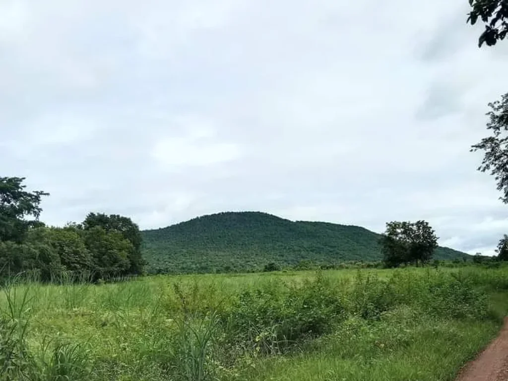 ที่ดินแปลงสวย ที่ราบริมเชิงเขา บรรยากาศดี ราคาถูก อุตรดิตถ์