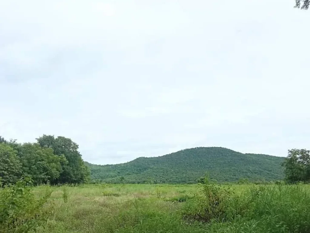 ที่ดินแปลงสวย ที่ราบริมเชิงเขา บรรยากาศดี ราคาถูก อุตรดิตถ์