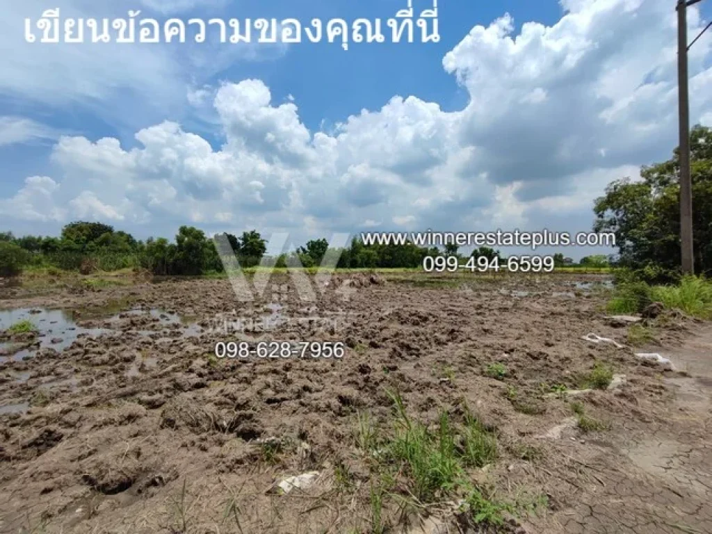 ขายที่ดินจัดสรร ที่ดินคลองหลวง ขายที่ดินคลองสี่ 6 ถึง 10 ขนาด 5 ไร่กว่า ติดคลอง หลักพัน