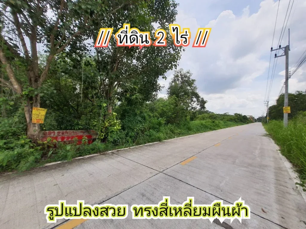 ขายด่วนมาก ที่ดินคลองห้า 2 ไร่ ติดถนนคอนกรีตสาธารณะ ซคลองห้าตะวันออก 28 อคลองหลวง