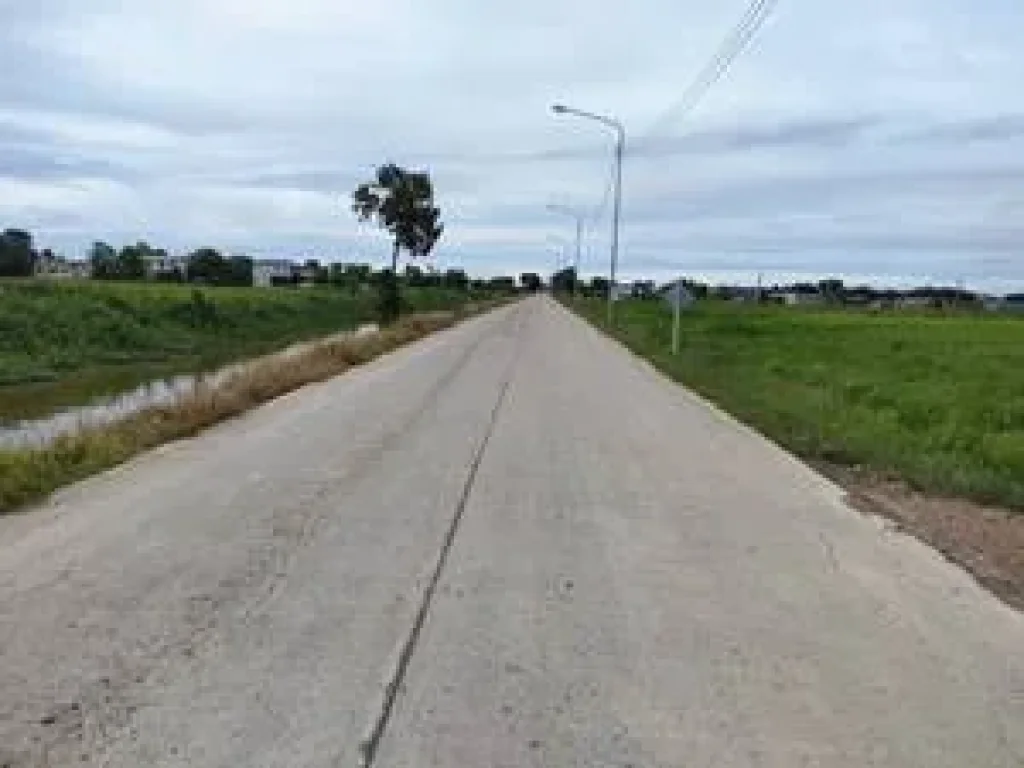 ขายที่ดินเปล่าติดถนนคลอง 9 ลำลูกกา จังหวัดปทุมธานี