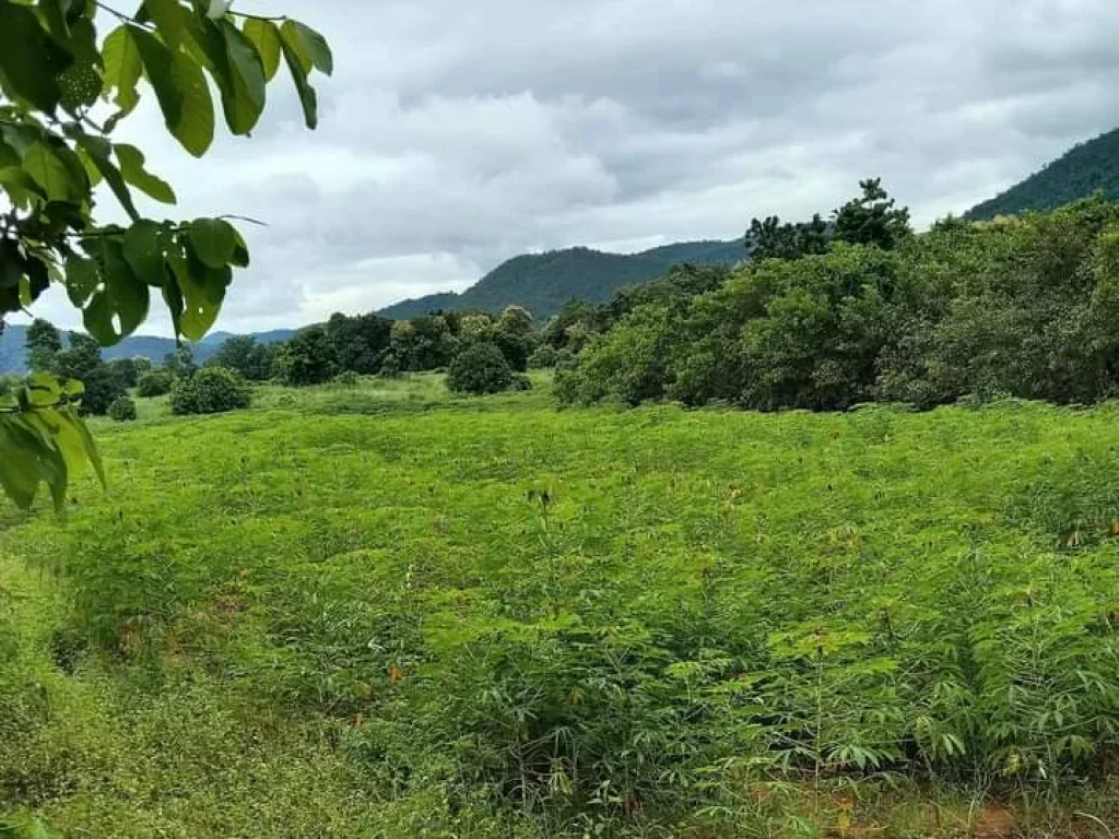 ที่ดินแปลงสวย วิวสวย โฉนด ติดถนนใกล้ถนนสายหลัก อุตรดิตถ์