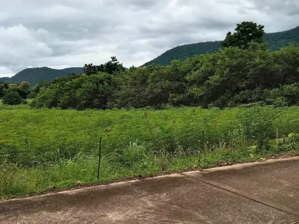 ที่ดินแปลงสวย วิวสวย โฉนด ติดถนนใกล้ถนนสายหลัก อุตรดิตถ์