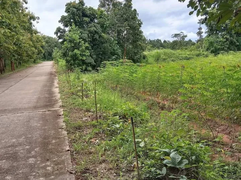 ที่ดินแปลงสวย วิวสวย โฉนด ติดถนนใกล้ถนนสายหลัก อุตรดิตถ์