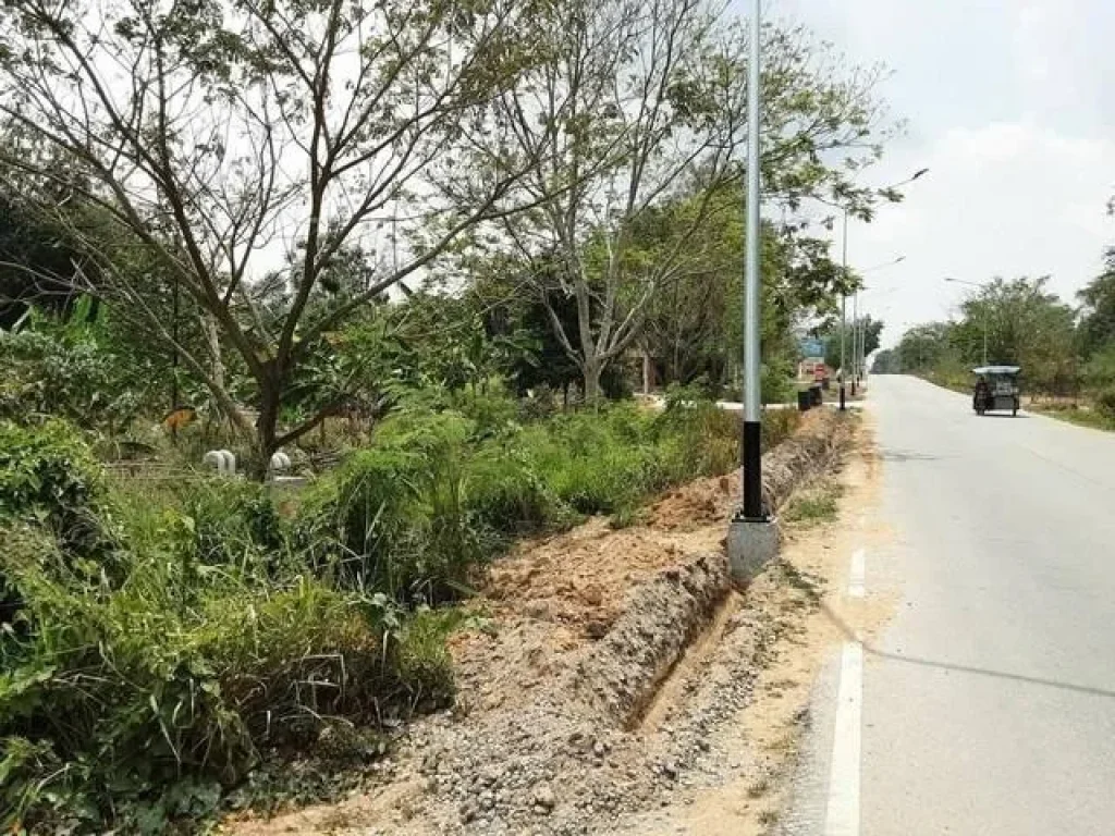 Land For Sale ที่ดิน 28 ไร่ ซอย4 สาย13 ใกล้ถนนทางหลวงหมายเลข36 นิคมพัฒนา ระยอง