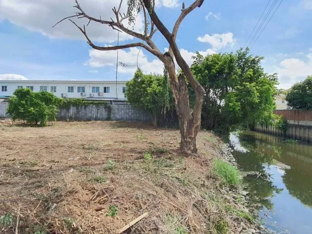 ที่ดิน 255 ตรวติดคลองบางนาและติดถนนคอนกรีตทางสาธารณะประโยชน์