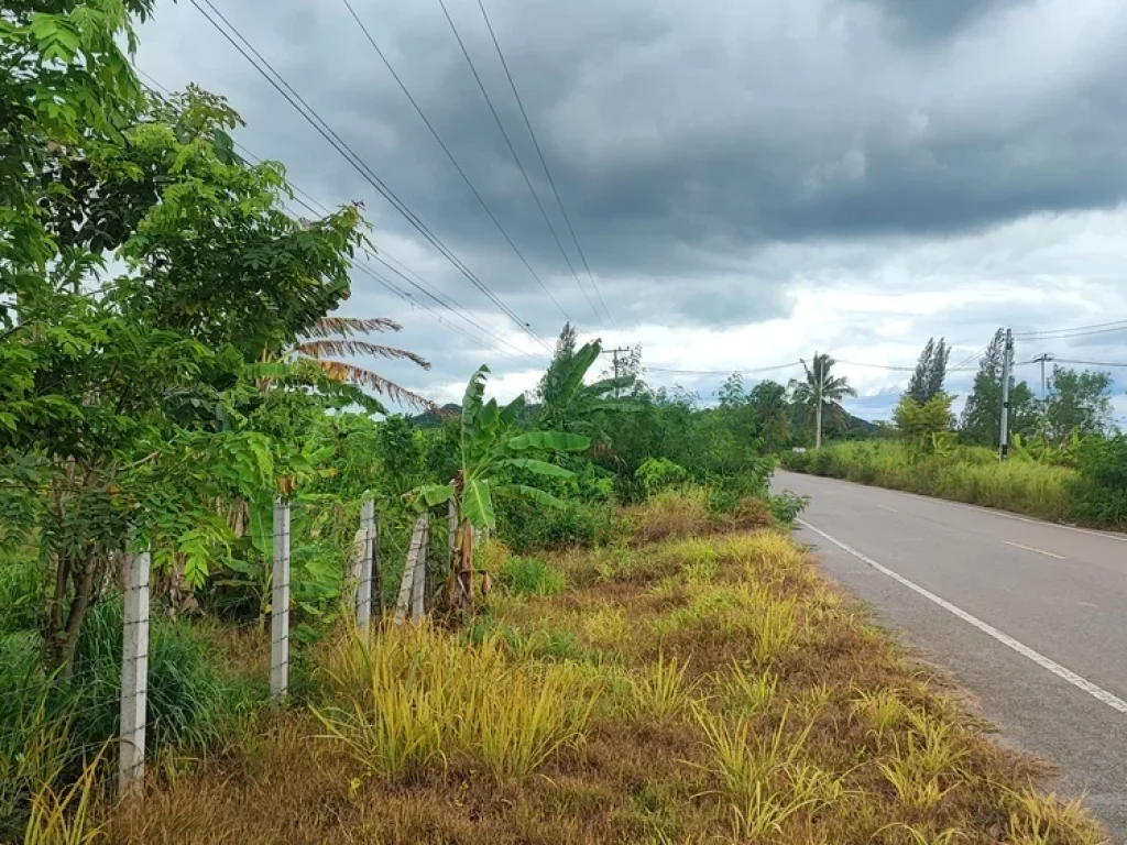 ขายที่ดินสวนเกษตรติดถนน พร้อมบ้านพัก 7-3-16 ไร่ ตกลัดหลวง