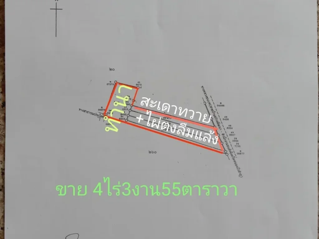 ขายที่ดินติดถนน3119พร้อมต้นไม้ 4ไร่ 3งาน 55ตาราวา เจ้าของขายเอง