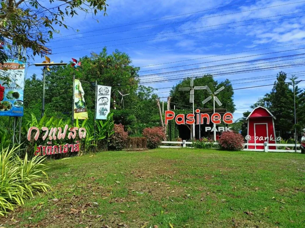 ขายร้านอาหารร้านกาแฟ จุดลานกางเต็นท์ พร้อมอุปกรณ์ ตำบลบ้านคา อำเภอบ้านคา จังหวัดราชบุรี บนเนื้อที่ 14 ไร่ 1งาน 40 ตารางวา ราคา 1000000 บาท