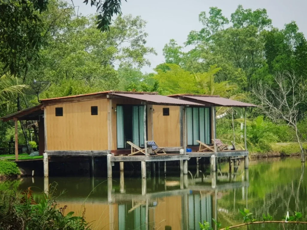 ขายรีสอร์ต บรรยากาศดี ใกล้ชายทะเลบางพัฒน์ขายที่ดินสวยพร้อมสิ่งปลูกสร้าง เป็นห้องพัก 3หลัง บรรยากาศดี วิวป่าชายเลน และบ่อปลาขนาดใหญ่