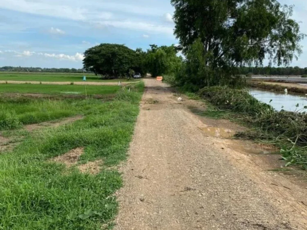 ขายที่ดิน ถมแล้ว เหมาะสำหรับทำหมู่บ้านจัดสรร คลองสี่ ปทุมธานี เจ้าของขายเอง